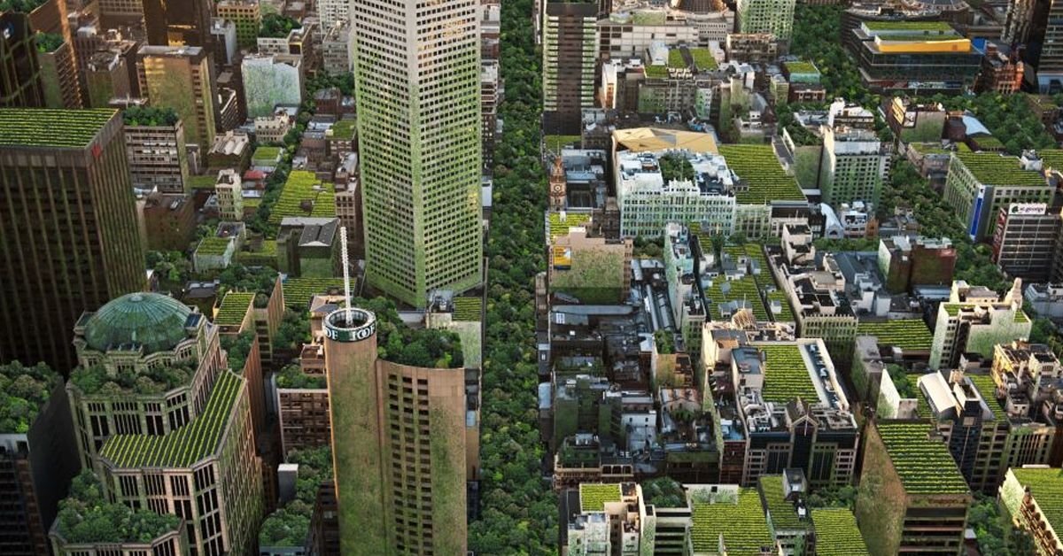 Trading the grey for the green – the call for rooftop gardens