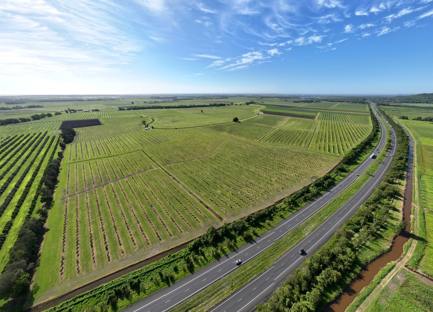 Colliers Brings Ballina Land & Farms to market beside Pacific Highway.