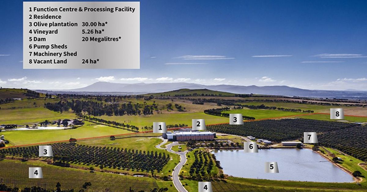 Pitruzzello Estate’s Sunbury winery and olive grove for sale with substantial growth prospects