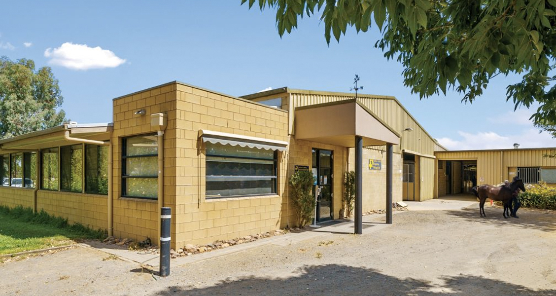 World-class equine hospital investment on the market