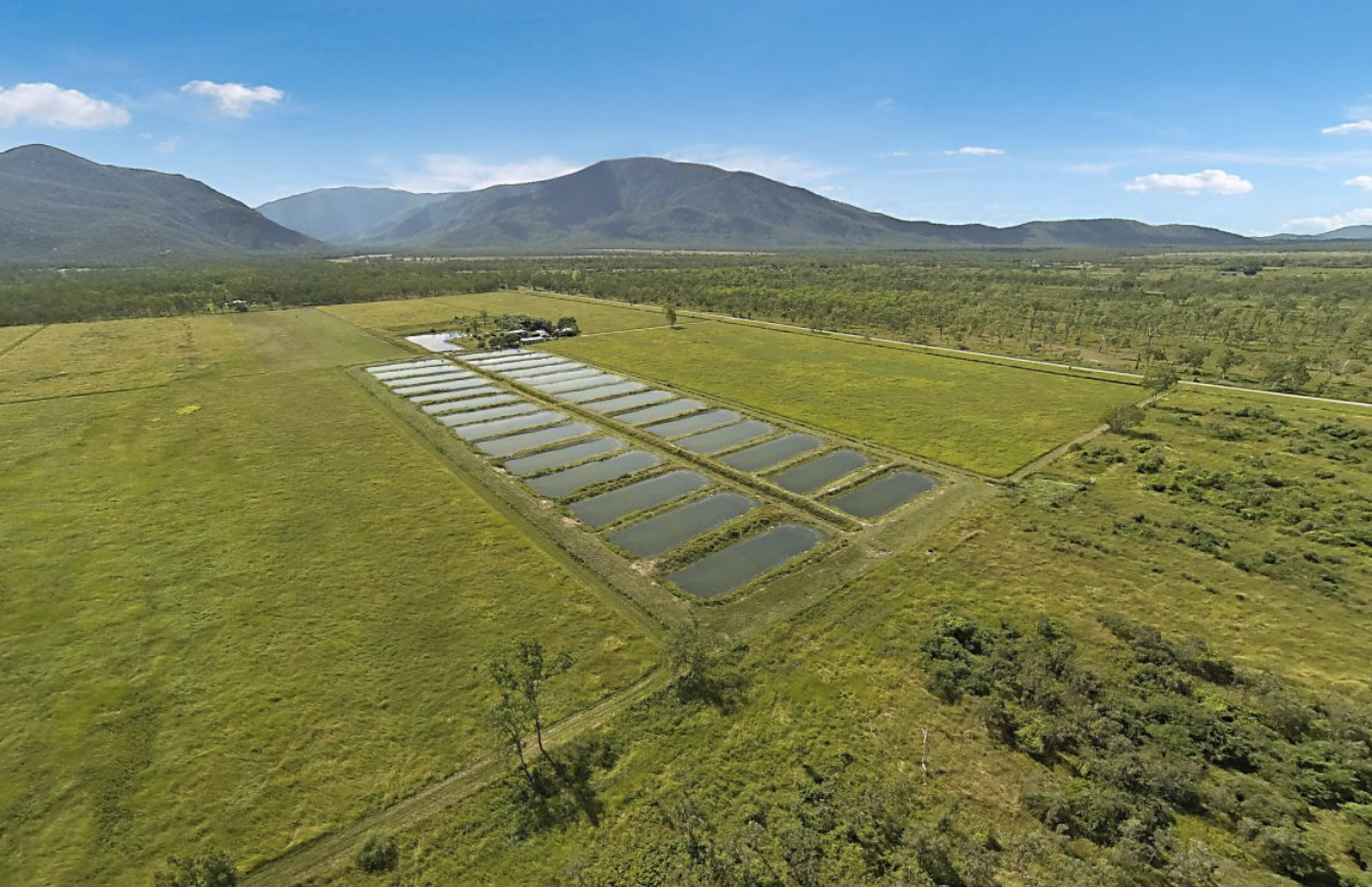 Large-scale North Qld Aquaculture Farm Hits The Market | Content Hub