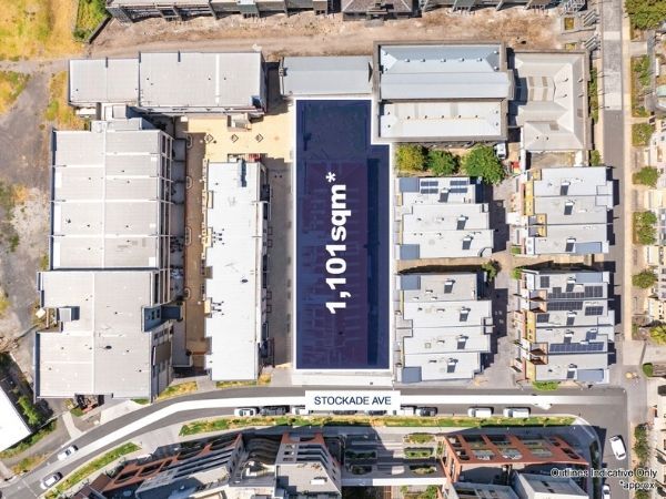 Your paragraph text 31