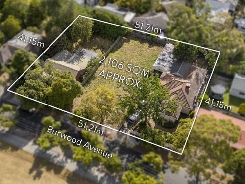 Your paragraph text 4