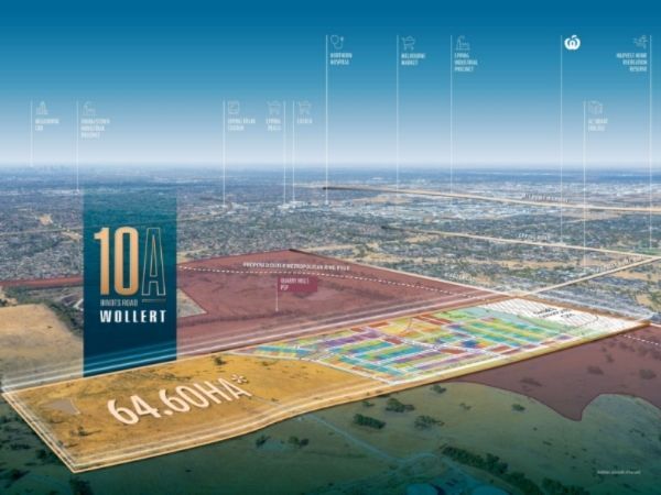 Your paragraph text 49