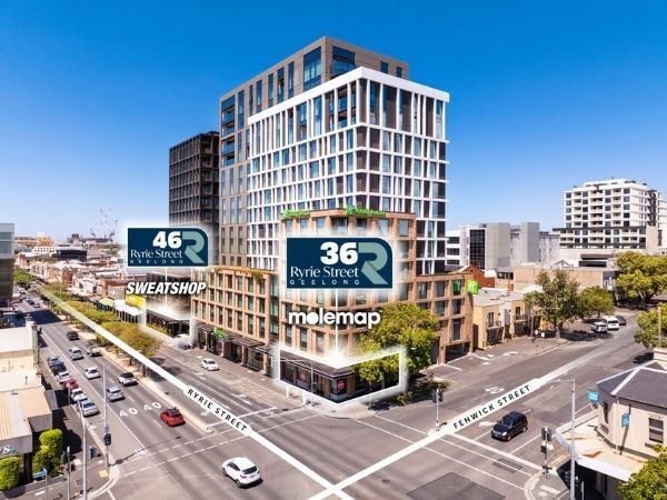 Your paragraph text 61